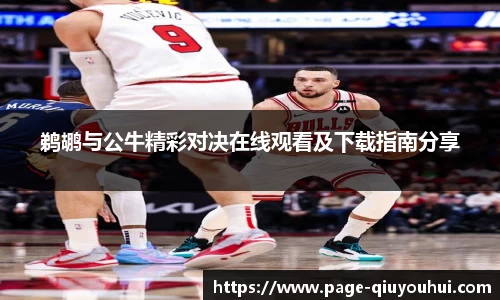 鹈鹕与公牛精彩对决在线观看及下载指南分享